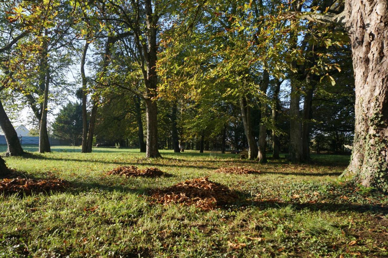 Domaine Du Moulin A Vent - Gite & Spa Saint-Florent-sur-Cher Bagian luar foto
